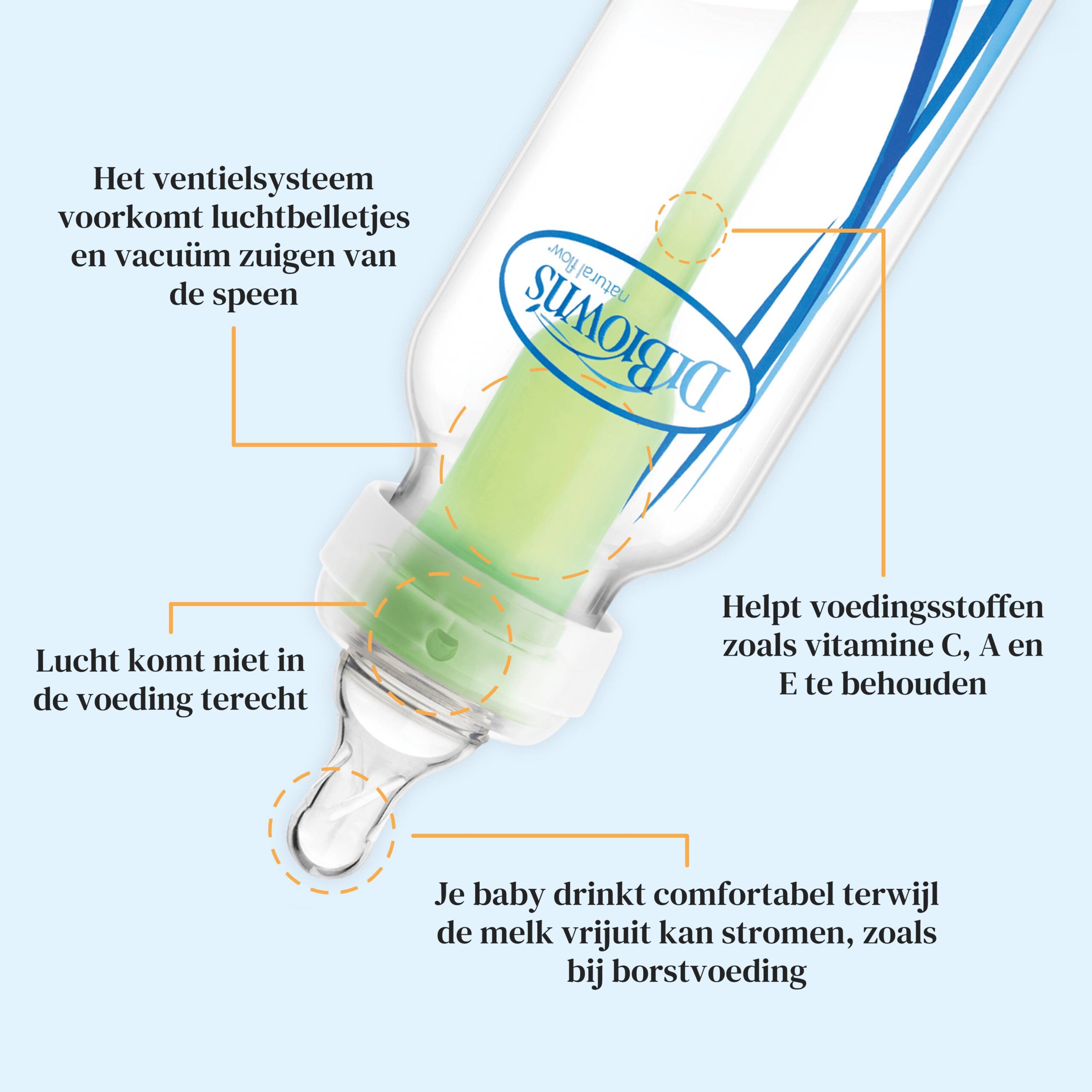 infographic fles min scaled infographic fles min scaled